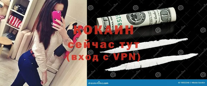 купить наркотики сайты  Высоцк  Cocaine 99% 