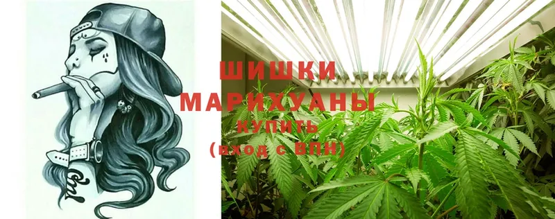 купить закладку  Высоцк  Шишки марихуана индика 